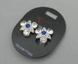 clips, zilverkleur met blauw